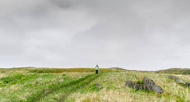 istock Newfoundland Woman Stands Alone 499204408