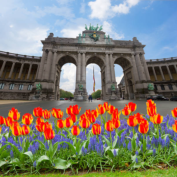 istock The Triumphal Arch in Brussels 499205247