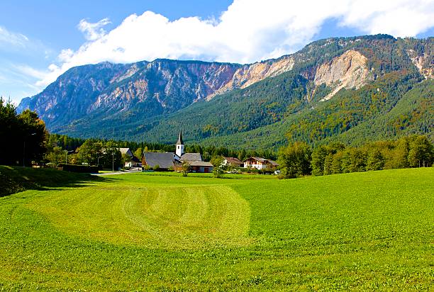 istock Julian Alps Pastoral Scene 499205527
