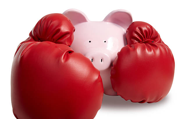 Pig and boxing-glove stock photo