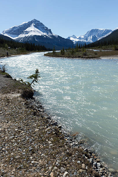 istock Canadian Rockies mountain river scene 499205668