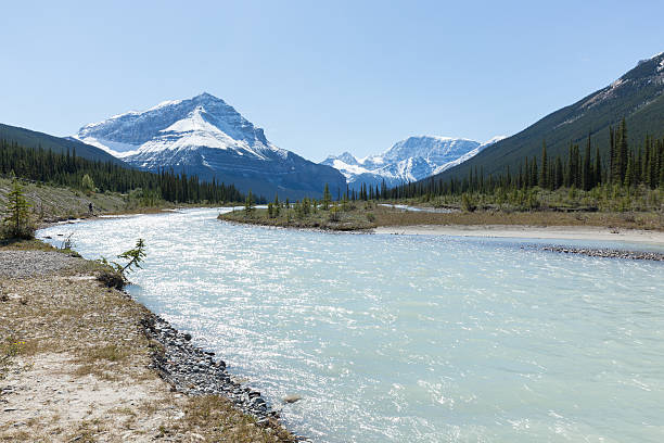 istock Canadian Rockies mountain river scene 499205988