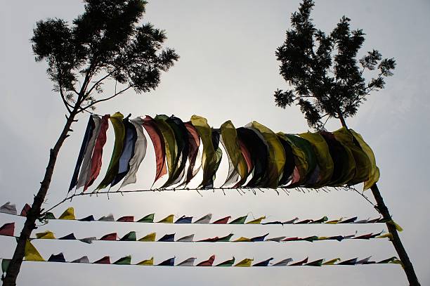 tibetano oración flags entre dos árboles - lamaism fotografías e imágenes de stock