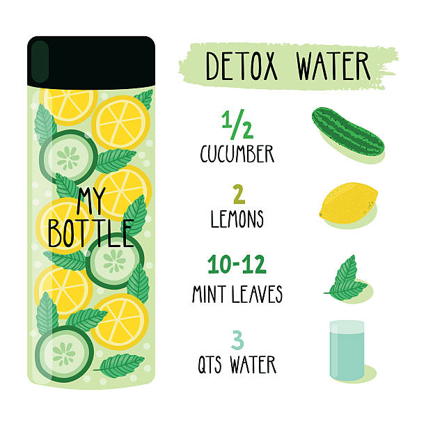 Vector reciepe card with recipe of detox water. Vector reciepe card with recipe of detox water. Illustration with bottle and ingredients. Healthy fat flush drink. infused water stock illustrations