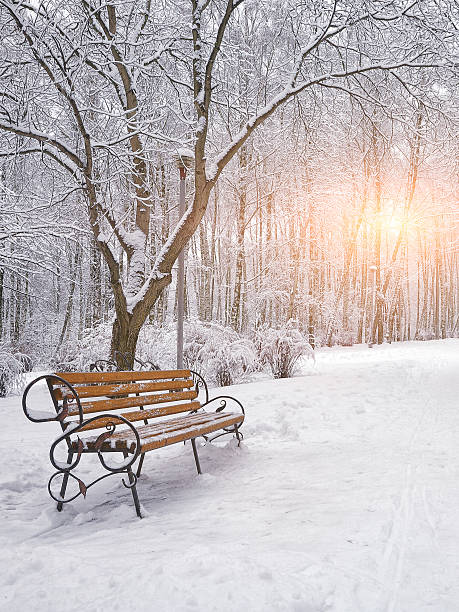 istock Snow-covered trees and benches in the city park 499207506