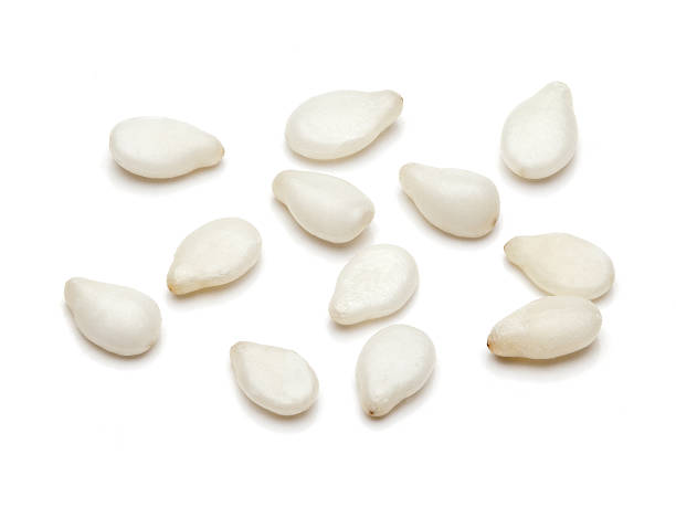 istock Macro closeup of Organic Sesame white. 499209270