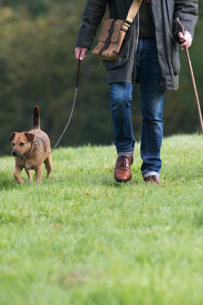 istock Dog is a man's best friend 499209428