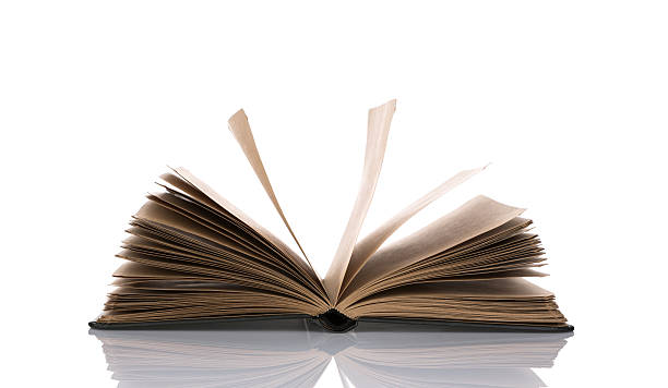 istock Opened book with blank pages isolated over white background 499210065