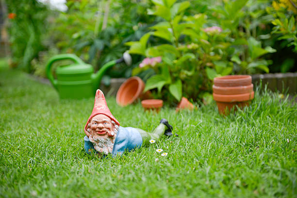 garden gnome - zwerg stock-fotos und bilder