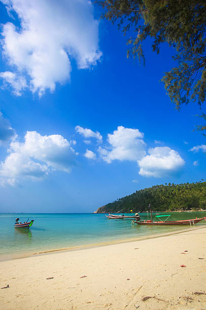 istock Beautiful tropical beach with palm tree. Koh Phangan 499210453