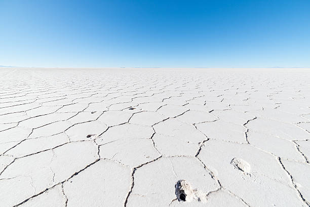 istock Hexagonal shapes on the Uyuni Salt Flat, Bolivia 499210854