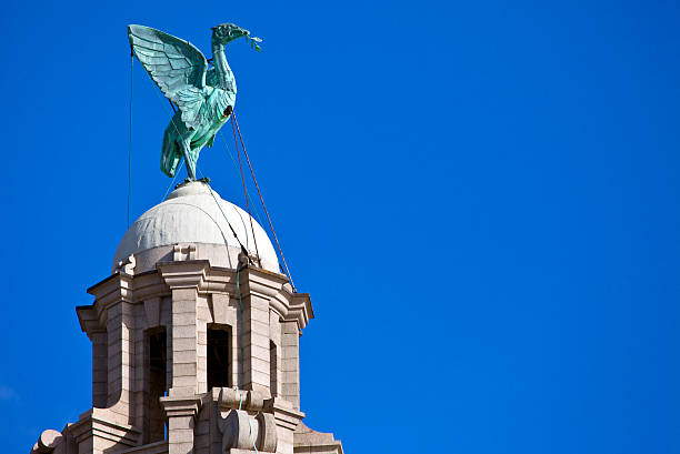 istock Liver Bird Perched on the Royal Liver Building 499225957