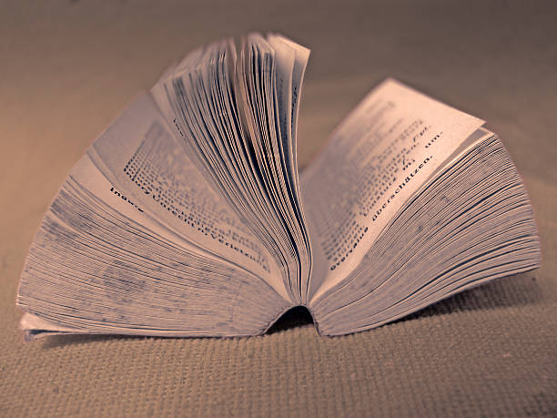 istock Close up of a dictionary 499227966