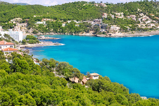 istock Alcudia Mallorca Playa de S Illot transparent turquoise water 499228694