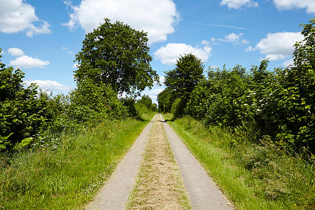 istock Landscape with farm lane, trees and blue sky with clouds 499229143