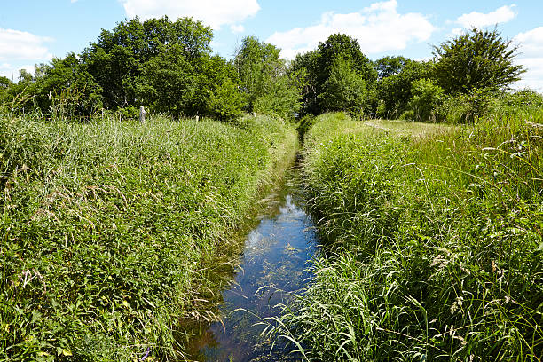 istock Landscape with ditch, trees and blue sky with white clouds 499229149