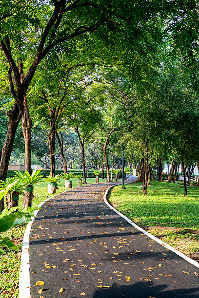 istock Pathway through a Beautiful Public Park in sunny day 499229258