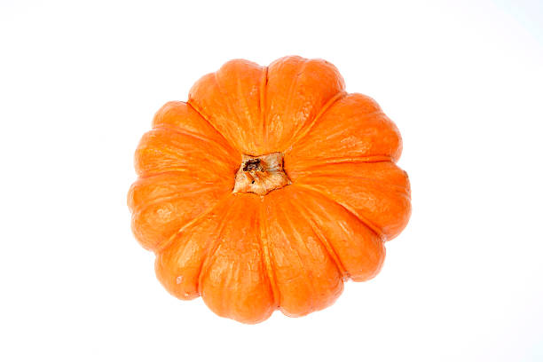 istock The orange pumpkin isolated on a white background 499230880