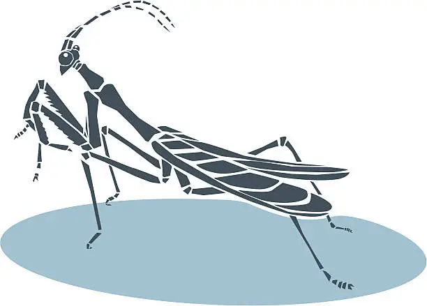 Vector illustration of Praying mantis