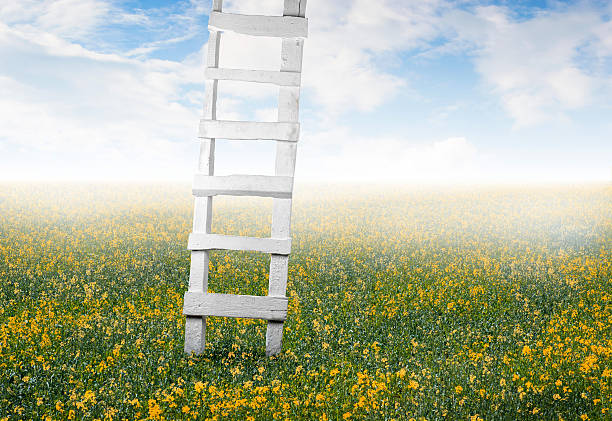 stairway to bright sky in the meadow