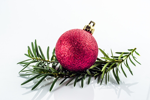 Red christmas bauble on christmas tree twig isolated on white background with copy space.