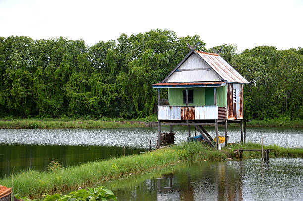 istock village panaroma on South Sulawesi 499233886