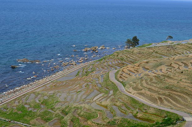 190+ Ryo Ishikawa Fotos Fotografías de stock, fotos e imágenes libres