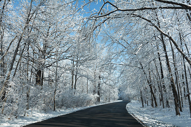 istock Snowy Winter Road Scene 499235600