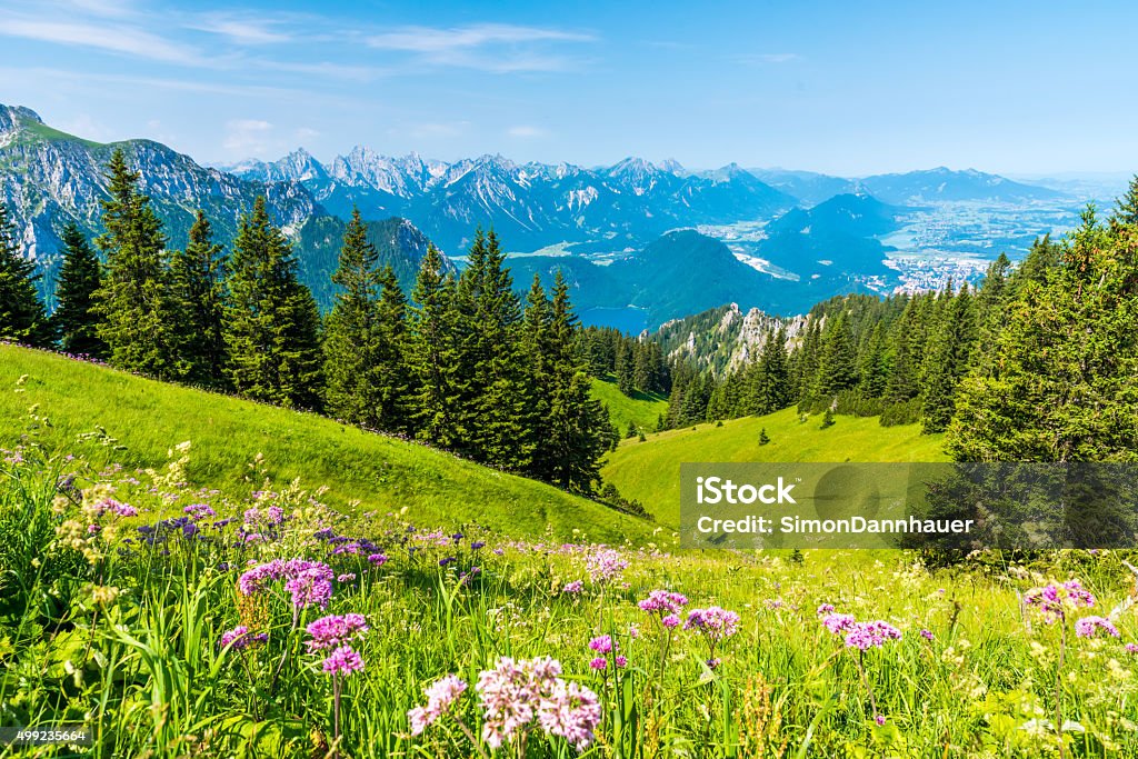 Beautiful Landscape in Allgäu - Alps, Tegelberg Beautiful Landscape in Allgäu -  Alps, Tegelberg - Mountains in the south of Germany Allgau Stock Photo