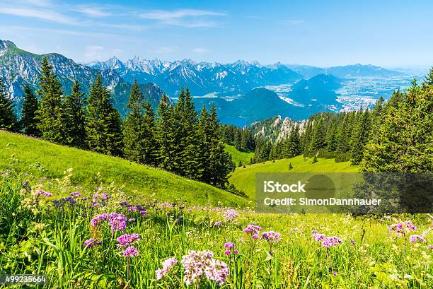 Beautiful Landscape In Allgäu Alps Tegelberg Stock Photo - Download Image Now - Allgau, Schwangau, European Alps