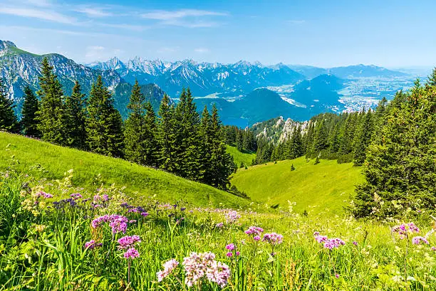 Beautiful Landscape in Allgäu -  Alps, Tegelberg - Mountains in the south of Germany