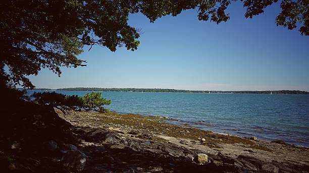 istock Coastal Maine Beach View Through Trees, Mackworth Island, Maine 499237458