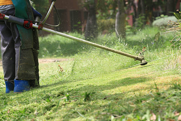 istock lawn mower worker cutting grass in green field 499241511