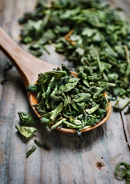té verde - dry dried plant green tea antioxidant fotografías e imágenes de stock