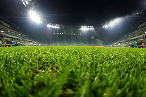 stadium, gros plan sur le gazon - soccer field soccer football field grass photos et images de collection