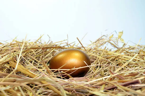 Photo of Golden egg