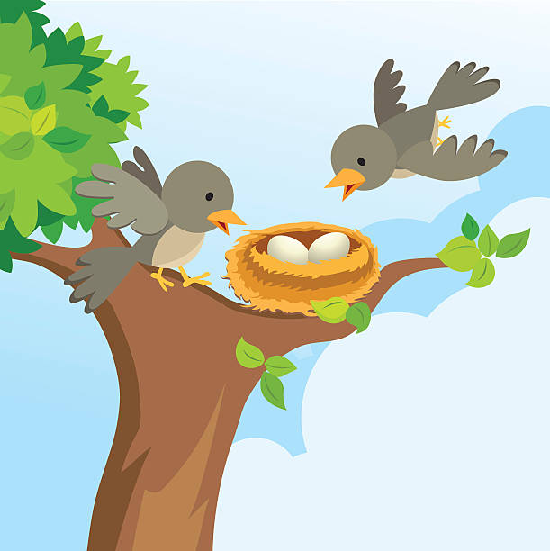 Bird Family Love Stock Illustration - Download Image Now - Bird's Nest,  Tree, Bird - iStock
