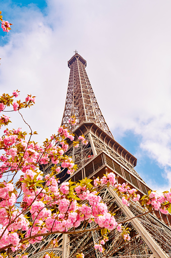The Eiffel Tower in springtime