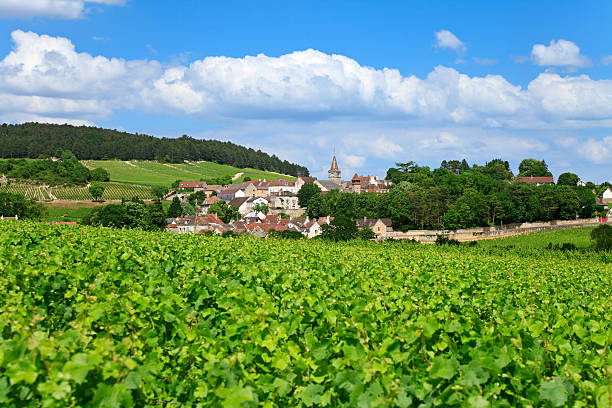 burgunder village, frankreich - burgund frankreich stock-fotos und bilder