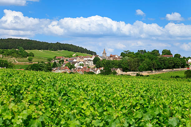 Burgundian Village, France Volnay, small village near Beaune, Burgundy, France france village blue sky stock pictures, royalty-free photos & images
