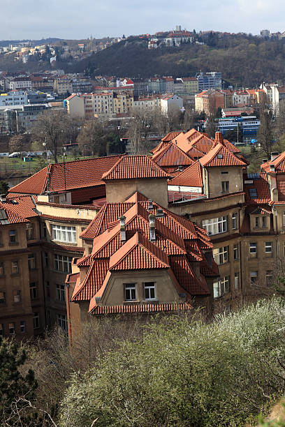 istock Residential district cityscape 499244173