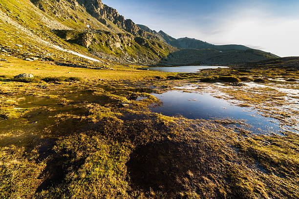 istock Warm sunrise in the Alps 499245615