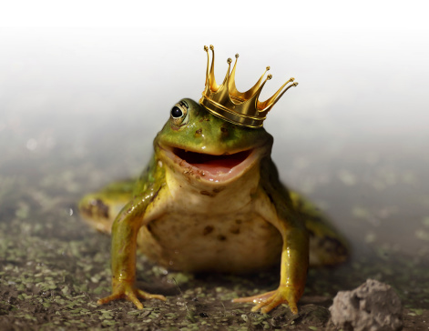 Green frog with a crown on the head.