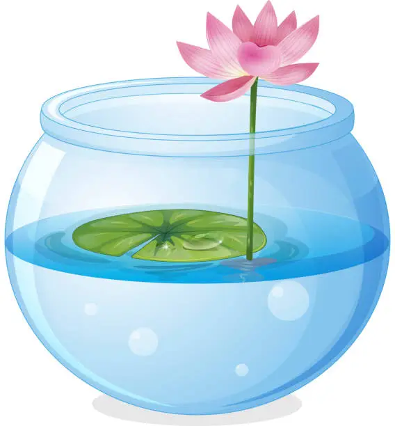 Vector illustration of An aquarium with a waterlily and a flower