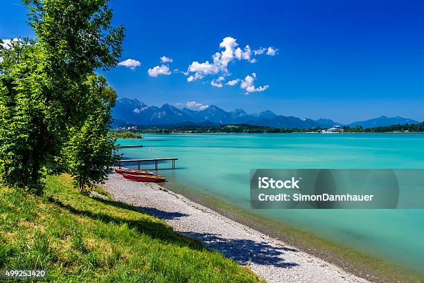 Lake Forggensee In Allgäu Germany Stock Photo - Download Image Now - 2015, Aerial View, Agricultural Field