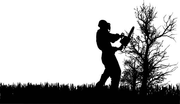 Vector silhouette of people. Vector silhouette of people who work in the garden. tree cutting silhouette stock illustrations