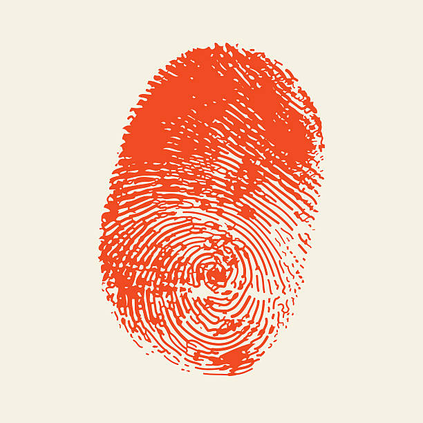 ilustrações de stock, clip art, desenhos animados e ícones de dedo de impressão.  cor vermelha. - fingerprint thumbprint identity red