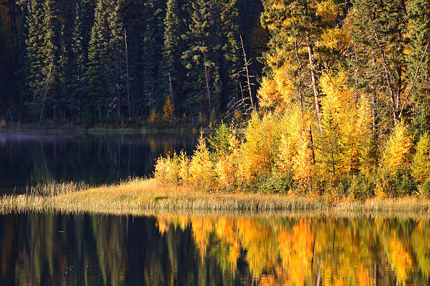 istock Water reflection at Jade Lake in Northern Saskatchewan 499258351