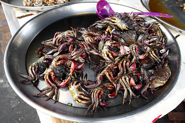 istock close up many little black crab 499259577