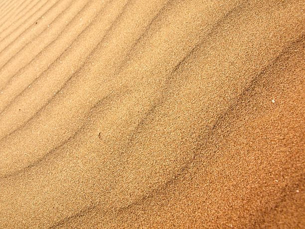 istock sand dunes in the desert 499259641